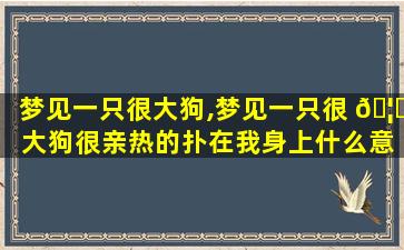 梦见一只很大狗,梦见一只很 🦋 大狗很亲热的扑在我身上什么意思